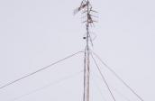 Telecomunicaciones
